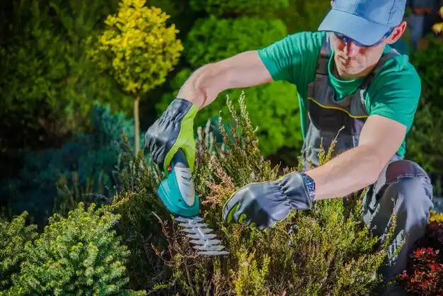 landscaping services Fall River